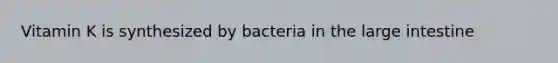 Vitamin K is synthesized by bacteria in the large intestine