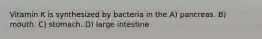 Vitamin K is synthesized by bacteria in the A) pancreas. B) mouth. C) stomach. D) large intestine