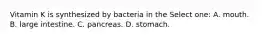 Vitamin K is synthesized by bacteria in the Select one: A. mouth. B. large intestine. C. pancreas. D. stomach.