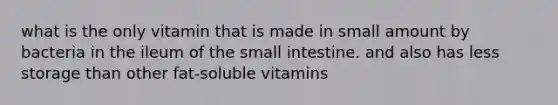 what is the only vitamin that is made in small amount by bacteria in the ileum of the small intestine. and also has less storage than other fat-soluble vitamins