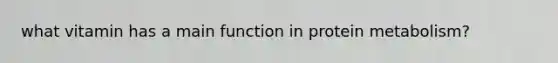 what vitamin has a main function in protein metabolism?