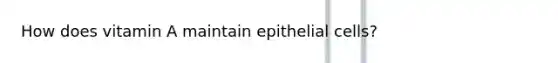 How does vitamin A maintain epithelial cells?