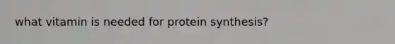 what vitamin is needed for protein synthesis?