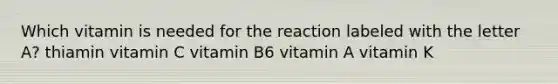 Which vitamin is needed for the reaction labeled with the letter A? thiamin vitamin C vitamin B6 vitamin A vitamin K