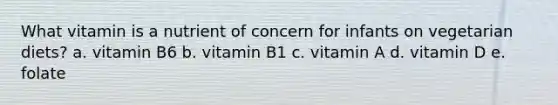 What vitamin is a nutrient of concern for infants on vegetarian diets? a. vitamin B6 b. vitamin B1 c. vitamin A d. vitamin D e. folate