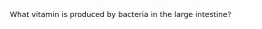 What vitamin is produced by bacteria in the large intestine?