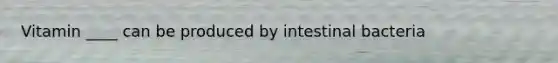 Vitamin ____ can be produced by intestinal bacteria