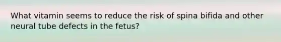 What vitamin seems to reduce the risk of spina bifida and other neural tube defects in the fetus?