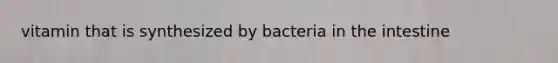 vitamin that is synthesized by bacteria in the intestine