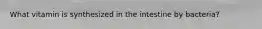 What vitamin is synthesized in the intestine by bacteria?