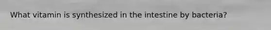 What vitamin is synthesized in the intestine by bacteria?