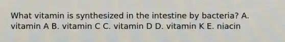 What vitamin is synthesized in the intestine by bacteria? A. vitamin A B. vitamin C C. vitamin D D. vitamin K E. niacin