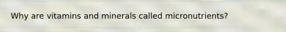 Why are vitamins and minerals called micronutrients?