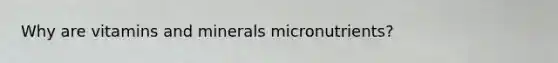 Why are vitamins and minerals micronutrients?