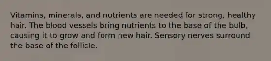 Vitamins, minerals, and nutrients are needed for strong, healthy hair. The blood vessels bring nutrients to the base of the bulb, causing it to grow and form new hair. Sensory nerves surround the base of the follicle.