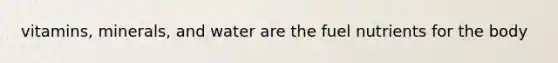 vitamins, minerals, and water are the fuel nutrients for the body