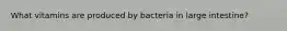 What vitamins are produced by bacteria in large intestine?