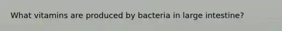 What vitamins are produced by bacteria in large intestine?