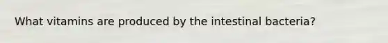 What vitamins are produced by the intestinal bacteria?