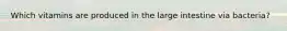 Which vitamins are produced in the large intestine via bacteria?