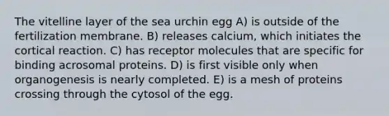 The vitelline layer of the sea urchin egg A) is outside of the fertilization membrane. B) releases calcium, which initiates the cortical reaction. C) has receptor molecules that are specific for binding acrosomal proteins. D) is first visible only when organogenesis is nearly completed. E) is a mesh of proteins crossing through the cytosol of the egg.