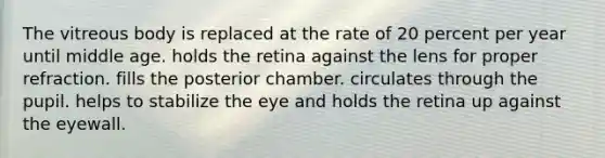 The vitreous body is replaced at the rate of 20 percent per year until middle age. holds the retina against the lens for proper refraction. fills the posterior chamber. circulates through the pupil. helps to stabilize the eye and holds the retina up against the eyewall.