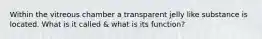 Within the vitreous chamber a transparent jelly like substance is located. What is it called & what is its function?