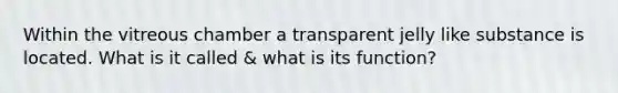 Within the vitreous chamber a transparent jelly like substance is located. What is it called & what is its function?