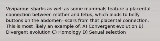 Viviparous sharks as well as some mammals feature a placental connection between mother and fetus, which leads to belly buttons on the abdomen--scars from that placental connection. This is most likely an example of: A) Convergent evolution B) Divergent evolution C) Homology D) Sexual selection