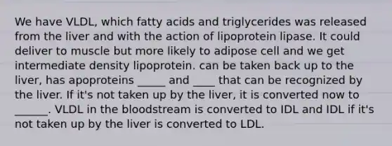 We have VLDL, which fatty acids and triglycerides was released from the liver and with the action of lipoprotein lipase. It could deliver to muscle but more likely to adipose cell and we get intermediate density lipoprotein. can be taken back up to the liver, has apoproteins _____ and ____ that can be recognized by the liver. If it's not taken up by the liver, it is converted now to ______. VLDL in <a href='https://www.questionai.com/knowledge/k7oXMfj7lk-the-blood' class='anchor-knowledge'>the blood</a>stream is converted to IDL and IDL if it's not taken up by the liver is converted to LDL.