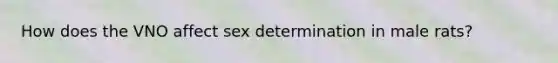 How does the VNO affect sex determination in male rats?