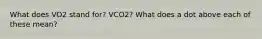 What does VO2 stand for? VCO2? What does a dot above each of these mean?