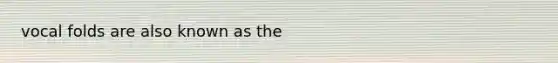 vocal folds are also known as the