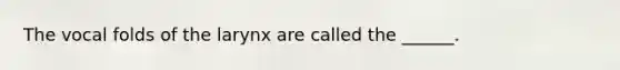 The vocal folds of the larynx are called the ______.