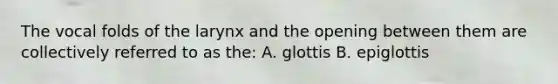 The vocal folds of the larynx and the opening between them are collectively referred to as the: A. glottis B. epiglottis