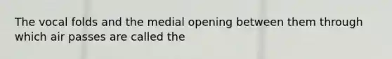 The vocal folds and the medial opening between them through which air passes are called the