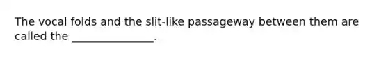 The vocal folds and the slit-like passageway between them are called the _______________.