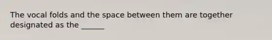 The vocal folds and the space between them are together designated as the ______