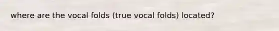 where are the vocal folds (true vocal folds) located?