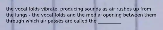 the vocal folds vibrate, producing sounds as air rushes up from the lungs - the vocal folds and the medial opening between them through which air passes are called the __________