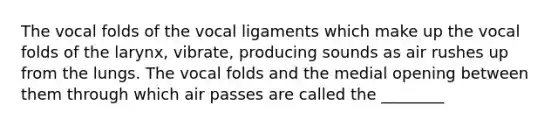 The vocal folds of the vocal ligaments which make up the vocal folds of the larynx, vibrate, producing sounds as air rushes up from the lungs. The vocal folds and the medial opening between them through which air passes are called the ________