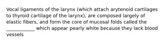 Vocal ligaments of the larynx (which attach arytenoid cartilages to thyroid cartilage of the larynx), are composed largely of elastic fibers, and form <a href='https://www.questionai.com/knowledge/kD8KqkX2aO-the-core' class='anchor-knowledge'>the core</a> of mucosal folds called the ____________ which appear pearly white because they lack <a href='https://www.questionai.com/knowledge/kZJ3mNKN7P-blood-vessels' class='anchor-knowledge'>blood vessels</a>