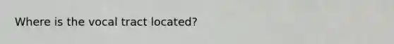 Where is the vocal tract located?