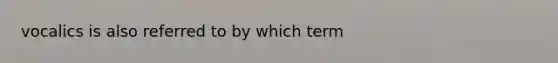 vocalics is also referred to by which term