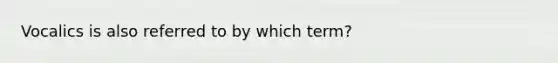 Vocalics is also referred to by which term?