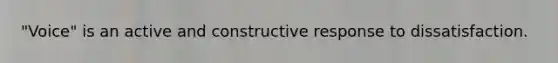 "Voice" is an active and constructive response to dissatisfaction.