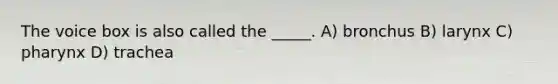 The voice box is also called the _____. A) bronchus B) larynx C) pharynx D) trachea