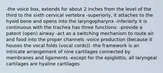 -the voice box, extends for about 2 inches from the level of the third to the sixth cervical vertebra -superiorly, it attaches to the <a href='https://www.questionai.com/knowledge/kVV1acPC4Z-hyoid-bone' class='anchor-knowledge'>hyoid bone</a> and opens into the laryngopharynx -inferiorly it is continuous with the trachea has three functions: -provide a patent (open) airway -act as a switching mechanism to route air and food into the proper channels -voice production (because it houses the vocal folds (vocal cords)) -the framework is an intricate arrangement of nine cartilages connected by membranes and ligaments -except for the epiglottis, all laryngeal cartilages are hyaline cartilages