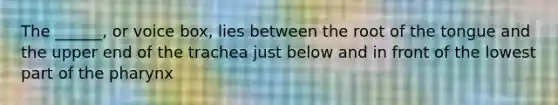 The ______, or voice box, lies between the root of the tongue and the upper end of the trachea just below and in front of the lowest part of the pharynx