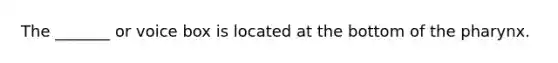 The _______ or voice box is located at the bottom of the pharynx.